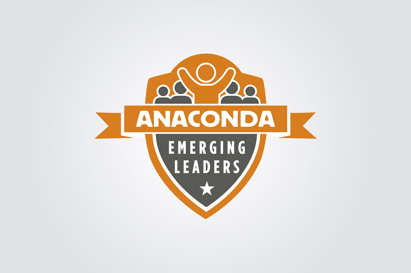Emerging-Leaders-Program